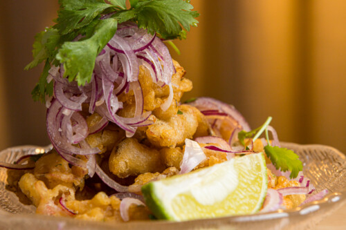 Ceviche frito